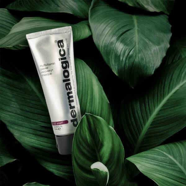 Dermalogica Multivitamin Power Recovery Masque 75ml - 2