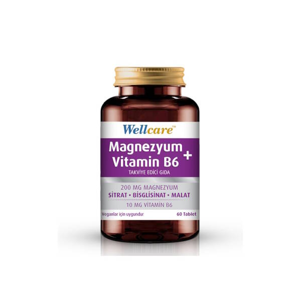 Wellcare Magnezyum Vitamin B6 60 Tablet - 1